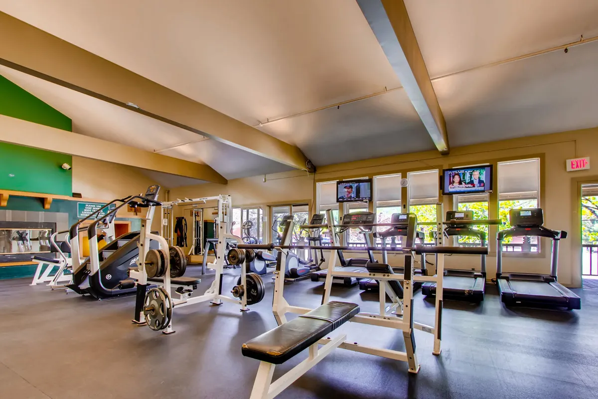 This image showcases a modern fitness room equipped with treadmills, weightlifting equipment, and large windows that provide plenty of natural light. The space looks spacious, clean, and motivating—ideal for maintaining fitness routines or participating in group classes.